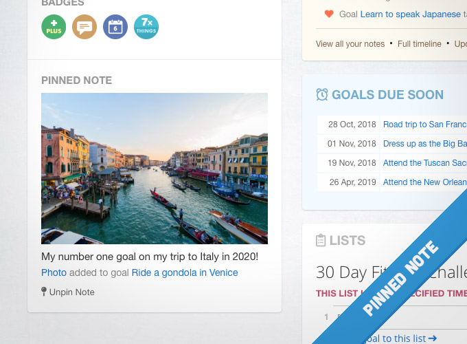 Pinned notes on a Day Zero profile page